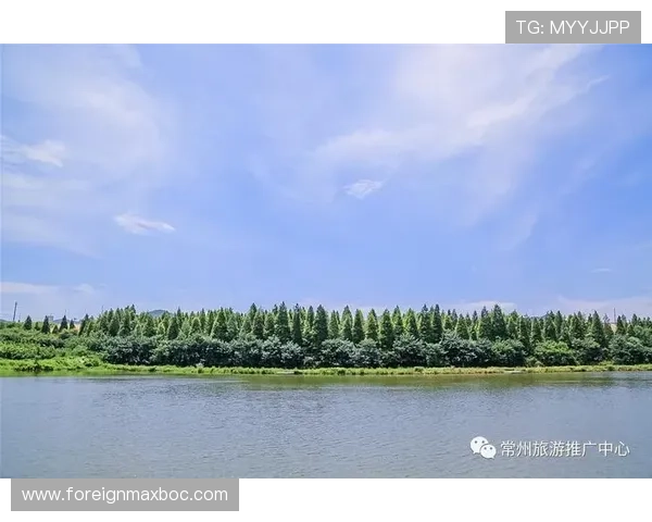 爱游戏ayx全站登陆操作步骤详解,教你轻松实现一键快速登录 爱游戏ayx全站登陆操作步骤详解,教你轻松实现一键快速登录